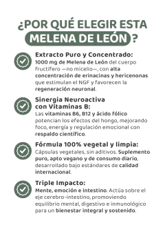 Melena de León + B6, B12 y Ácido Fólico - Más foco. Menos estrés., foto 4 de 11