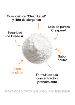 Creatina Monohidrato - Vitalisate, foto 2 de 4