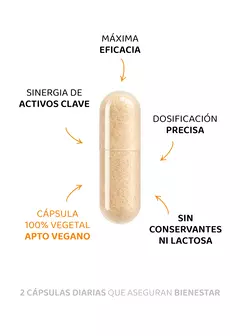 Melena de León + B6, B12 y Ácido Fólico - Más foco. Menos estrés., foto 2 de 11