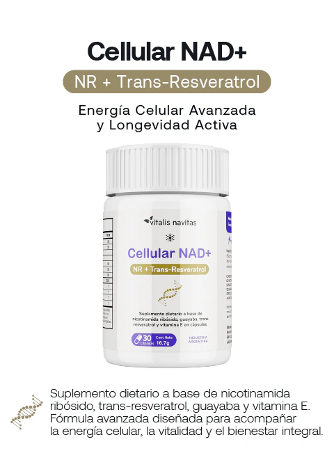 Cellular NAD+