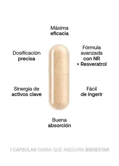 Cellular NAD+ Vitalisate, imagen 2