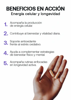Cellular NAD+, foto 3 de 7
