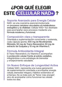 Cellular NAD+ Vitalisate, imagen 5