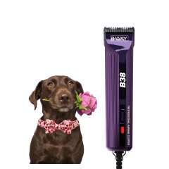 Peladora canina B38, foto 1 de 10