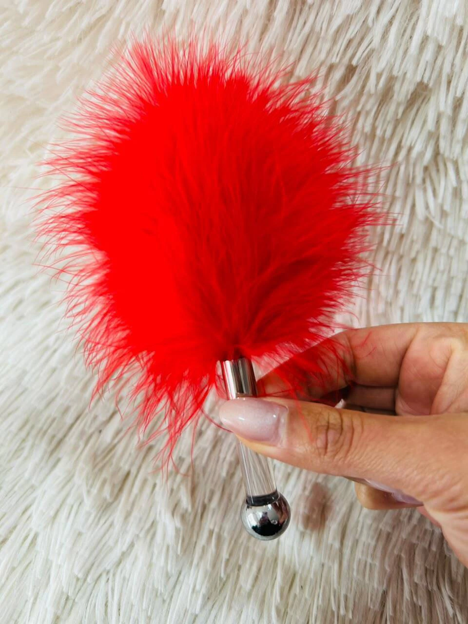 Sexa plumin roja - Ss-le-11090