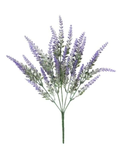 Ramo lavanda, foto 3 de 3