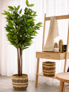 Planta artificial dracena 180cm, foto 1 de 3