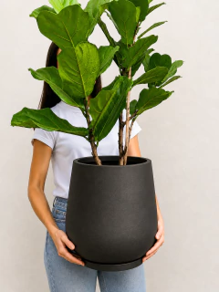 Maceta Copa con plato 30cm negro