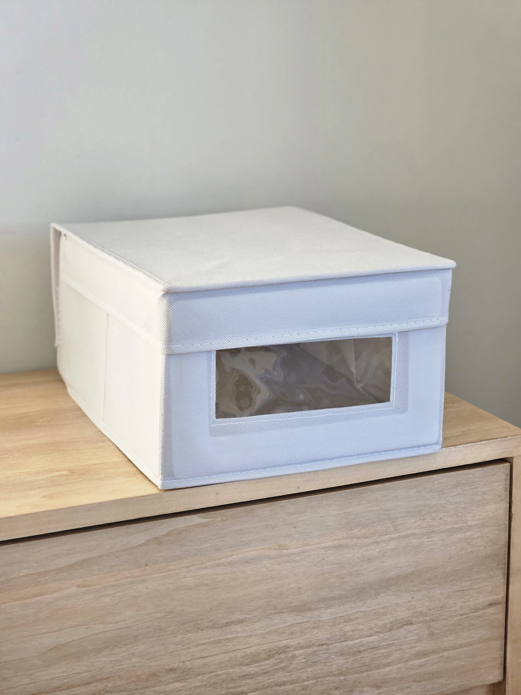Caja Organizadora con tapa 25x35x16 Loc