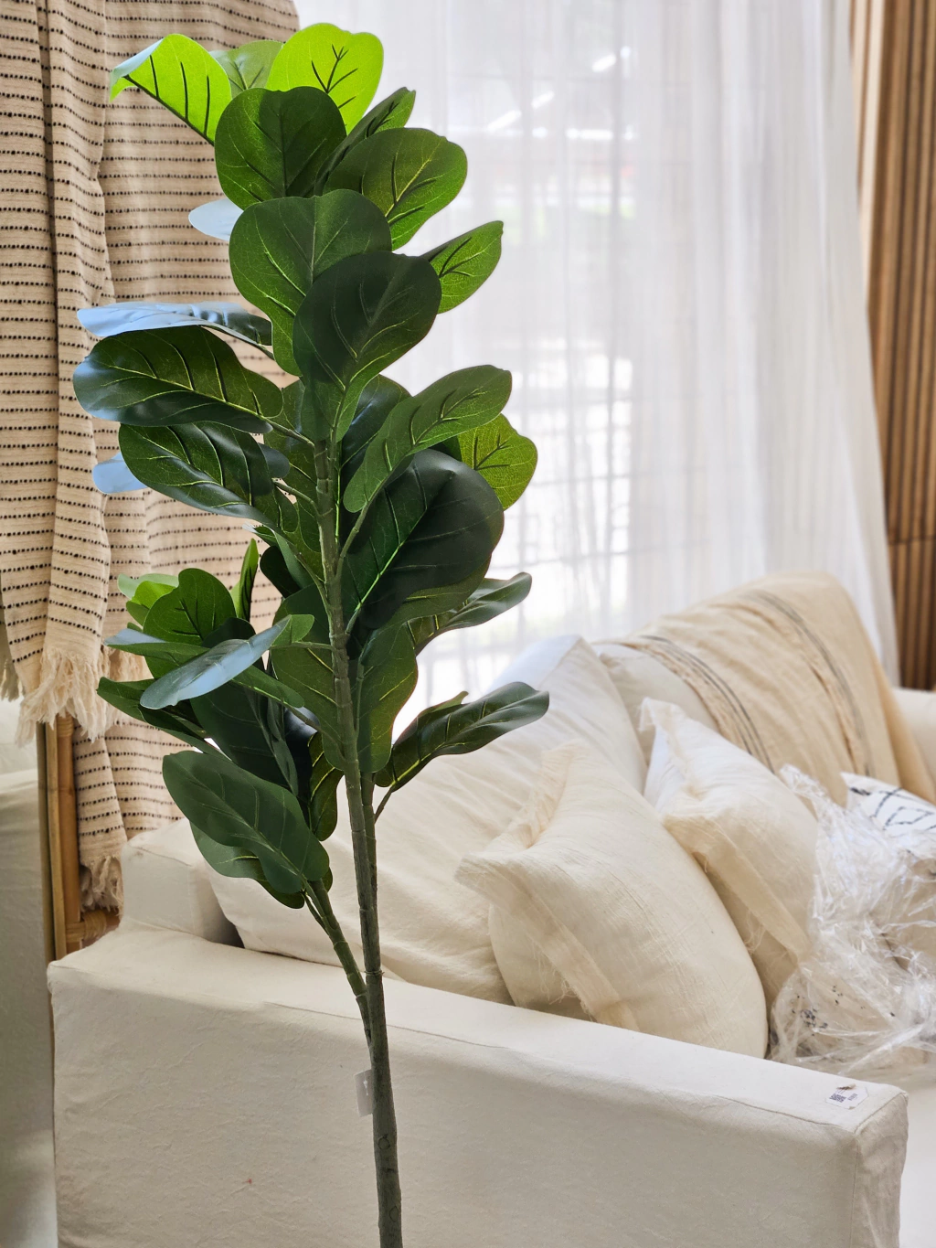 Planta artificial Pandurata - 150cm