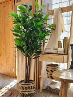Planta artificial dracena 180cm, foto 2 de 3