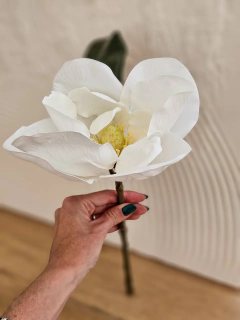 Flor magnolia