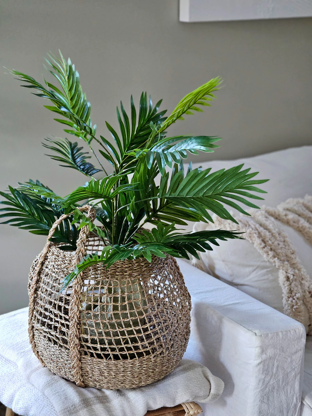 Planta areca 58 cm