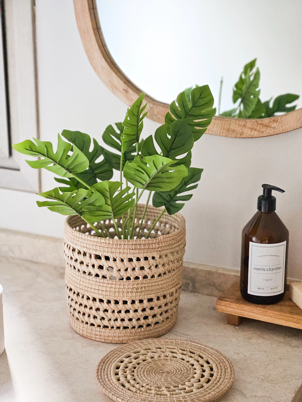 Planta monstera 45cm