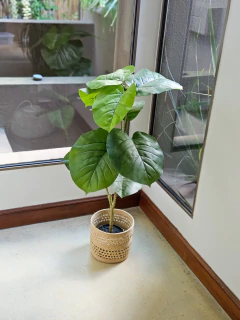 Planta artificial ficus 70 cm