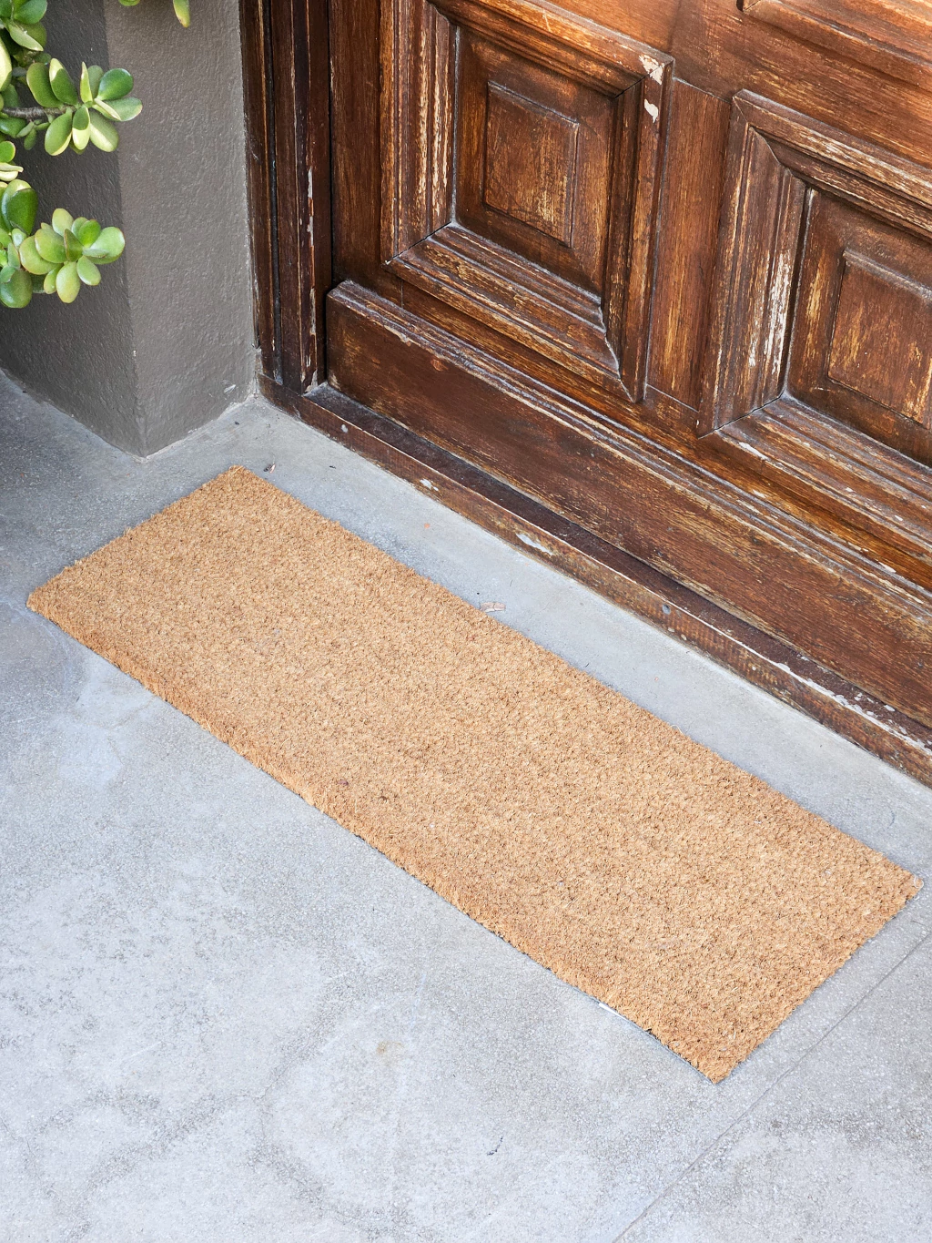 Felpudo coco plain 25x75