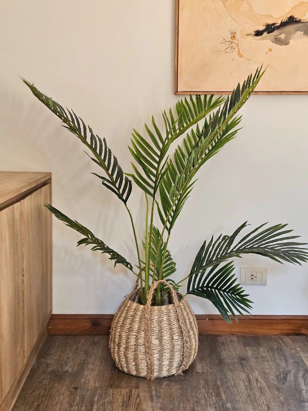Planta palmera