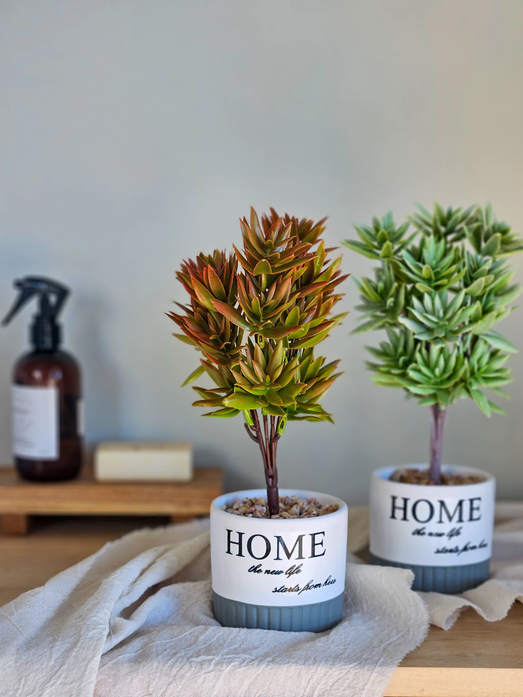 Planta Home