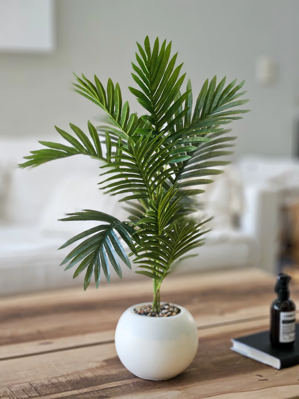 Planta Sham con Maceta 70 cm