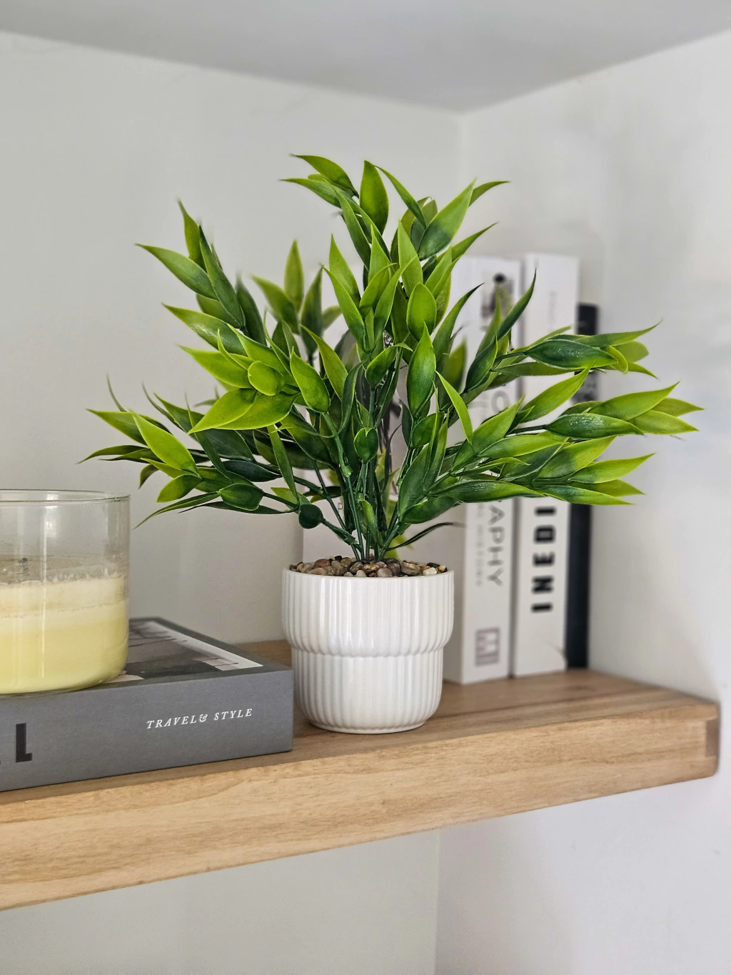 Planta Ruscus con Maceta 30 cm