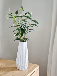 Florero Rayas