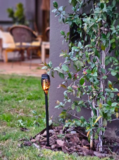Antorcha Solar 50cm, foto 1 de 2