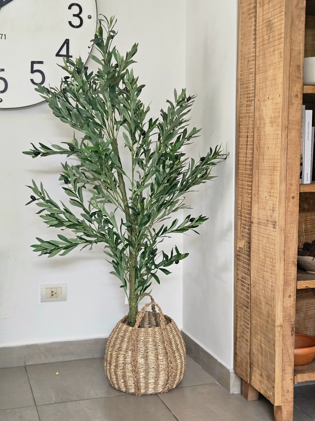 Planta Olivo 160cm