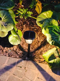 Set x 2 Farol Solar 43cm para piso o amurable, foto 4 de 4