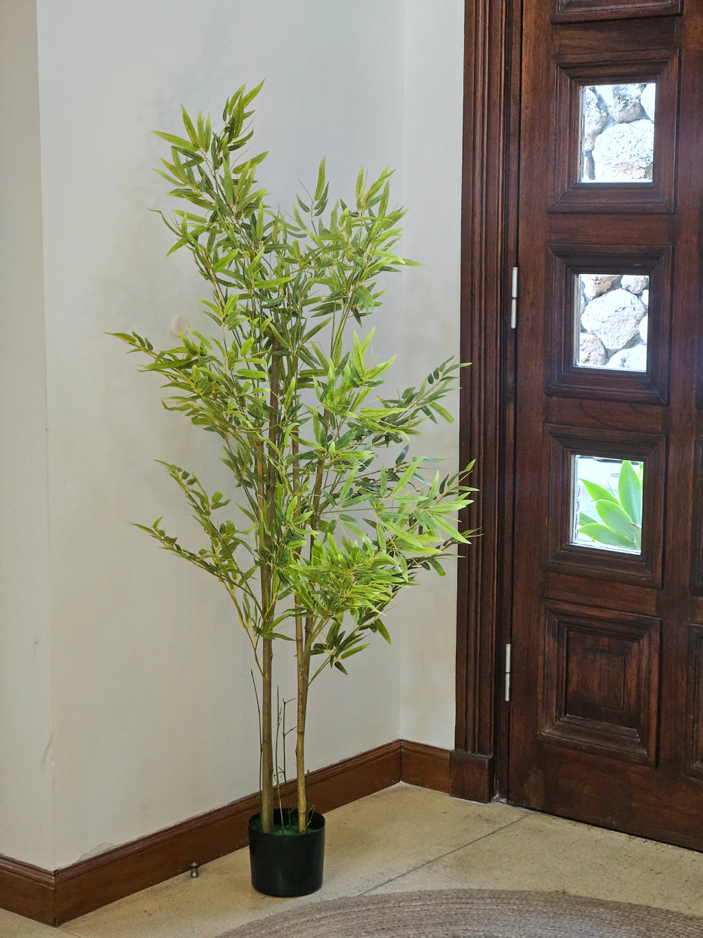 Planta Jamaica 150cm