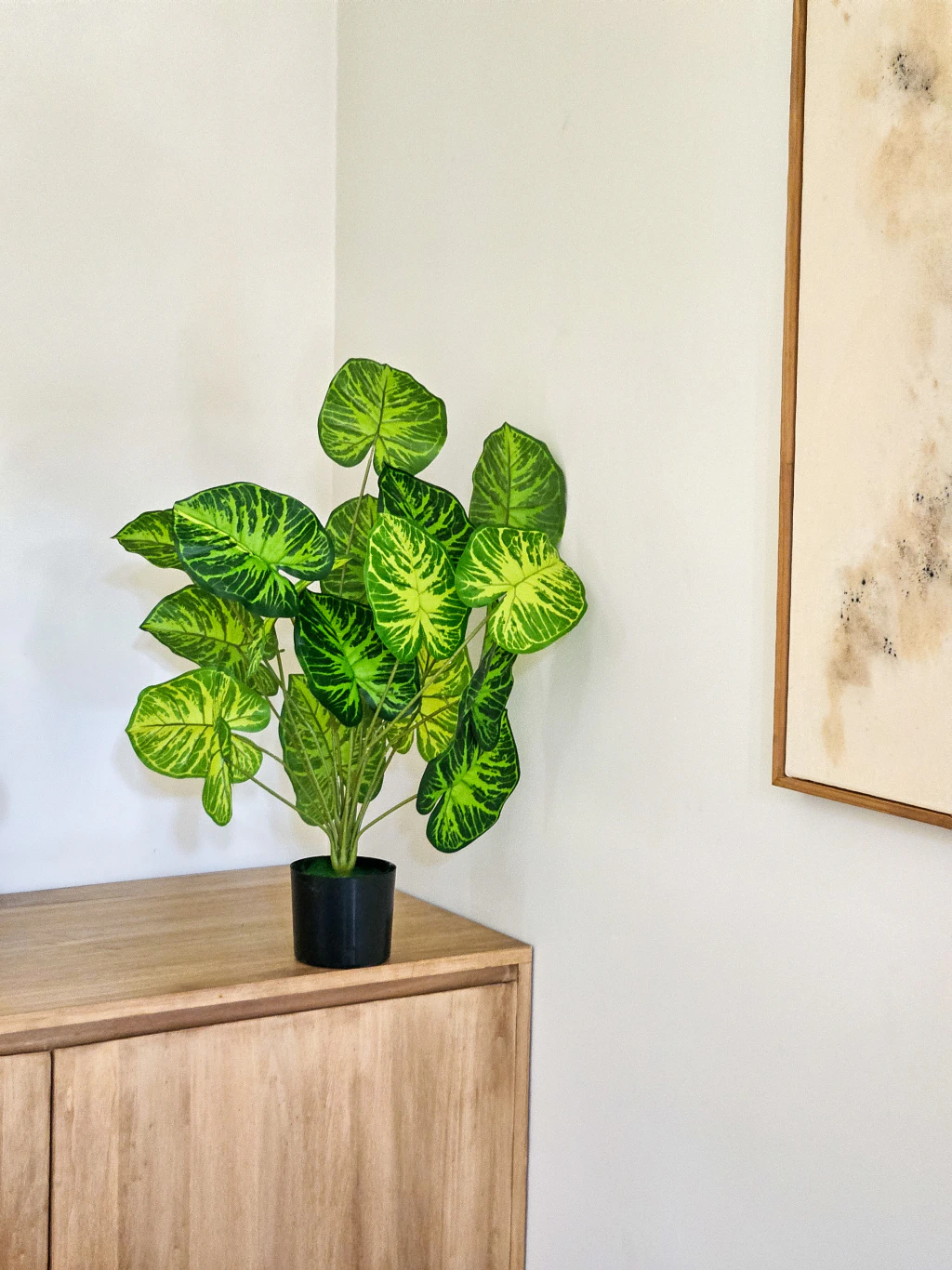 Planta Maria 65cm