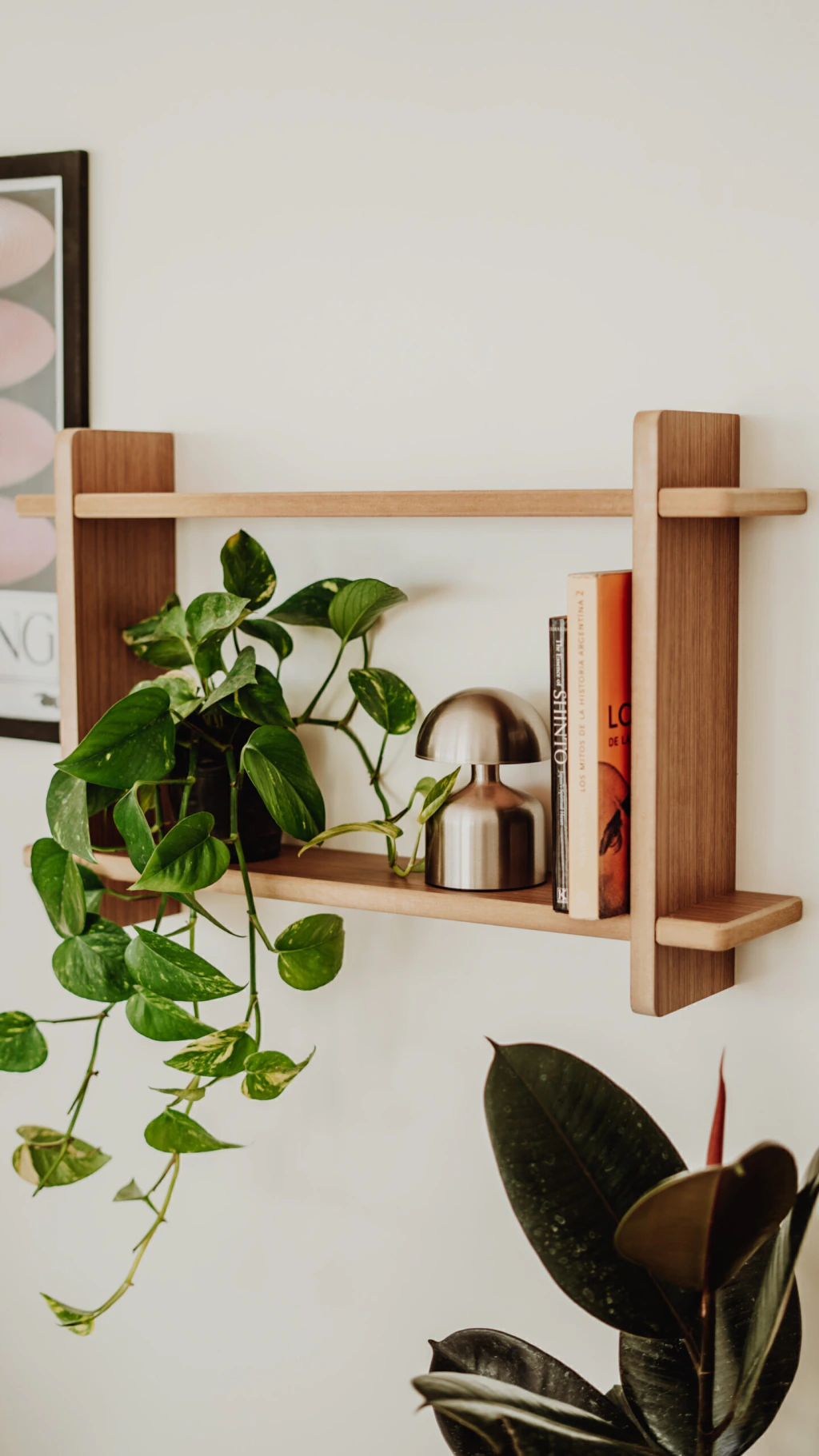 Estanteria de Pared