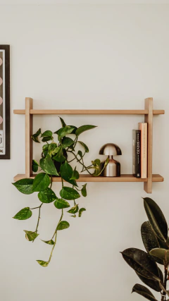 Estanteria de Pared, foto 4 de 4