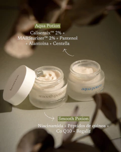 SET DE HIDRATANTES (piel seca/ mixta) / Aqua Potion + Smooth Potion, foto 3 de 5