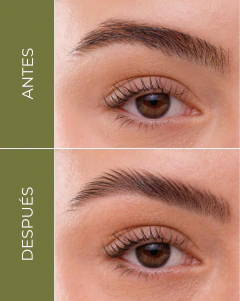 Gel fijador y fortalecedor de cejas / Folia - Anargy 2,5% + Biocapigen 5% + Pantenol, foto 3 de 10