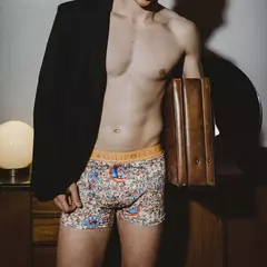 Boxer Adulto Estampado Wally, foto 2 de 4