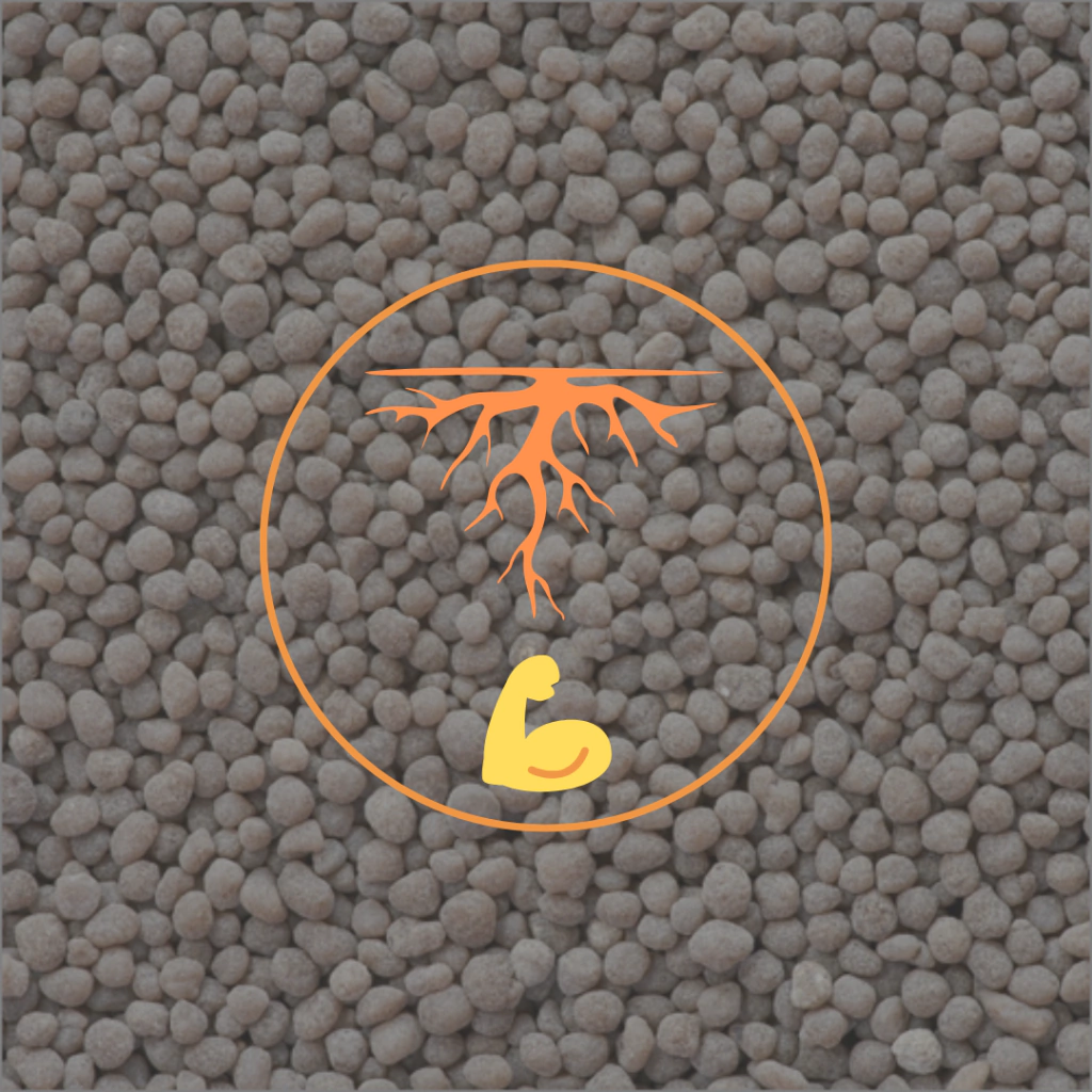 Fertilizante de plantación x 1 kg (rinde 30 metros cuadrados)