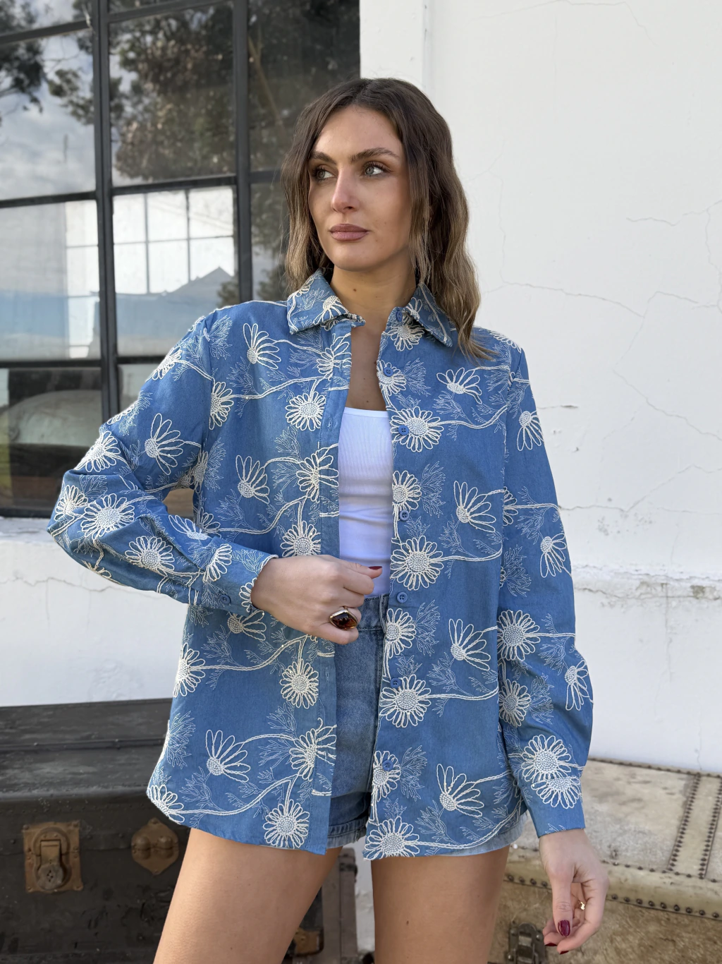 Camisa Brighton