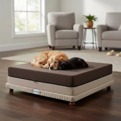 Cama PET BED Springwall Sommier Colchón Resortes Perro 090x120, foto 1 de 7