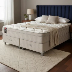 Sommier y Colchón Resortes Springwall BL 100 Europillow 160x200 Queen, foto 1 de 5