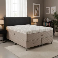 Sommier y Colchón Resortes Springwall SL 4000 Antimosquito 180x200 King, foto 1 de 5